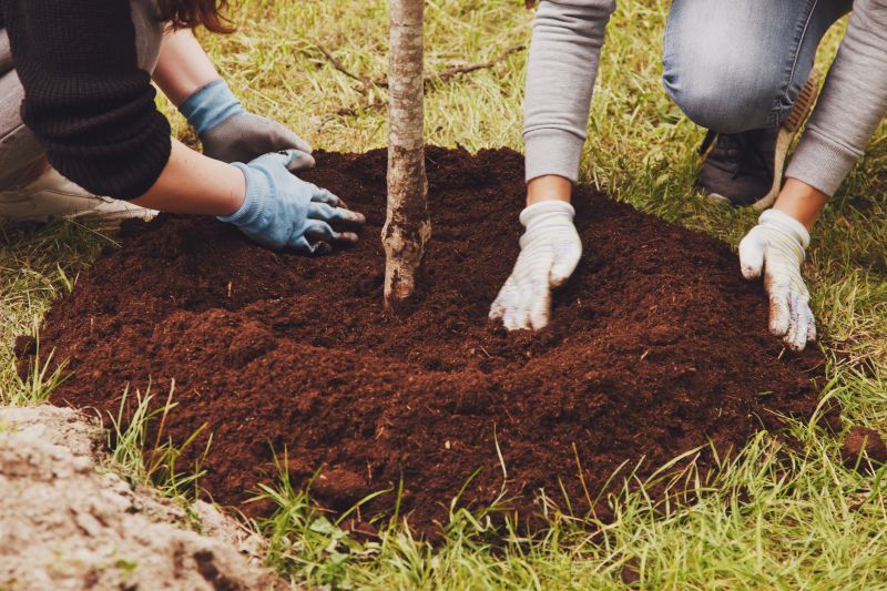 Contact About Tree Transplanting Service