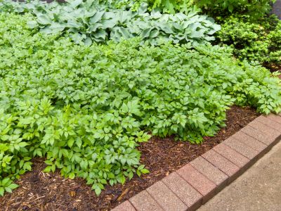 Brick Hardscaping in Warwick, RI
