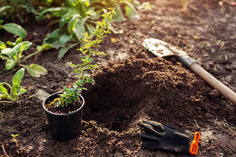 Post-Transplant Care