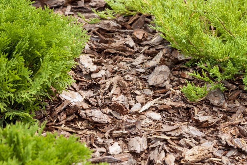 Cypress Mulch Installation in Honolulu, HI