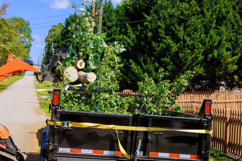 Tree Transplanting Service