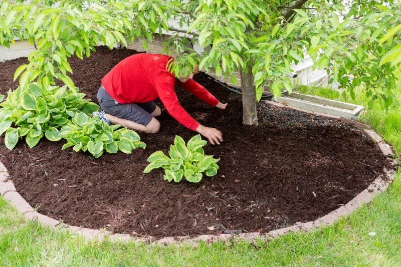 Mulching Techniques